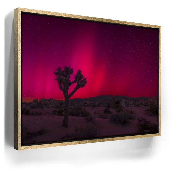 Featured image 8 for Desert Northern Lights