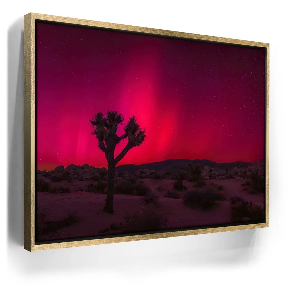 Featured image 7 for Desert Northern Lights