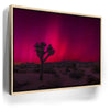 Featured image 10 for Desert Northern Lights