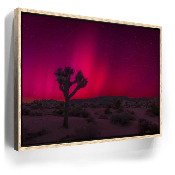 Featured image 10 for Desert Northern Lights