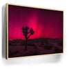 Featured image 9 for Desert Northern Lights