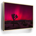 Featured image 9 for Desert Northern Lights