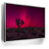 Featured image 9 for Desert Northern Lights