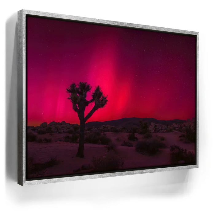 Featured image 8 for Desert Northern Lights