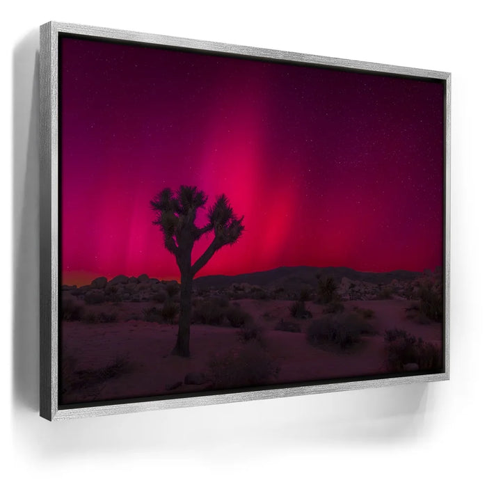 Featured image 9 for Desert Northern Lights