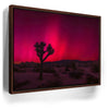 Featured image 10 for Desert Northern Lights