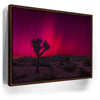 Featured image 11 for Desert Northern Lights