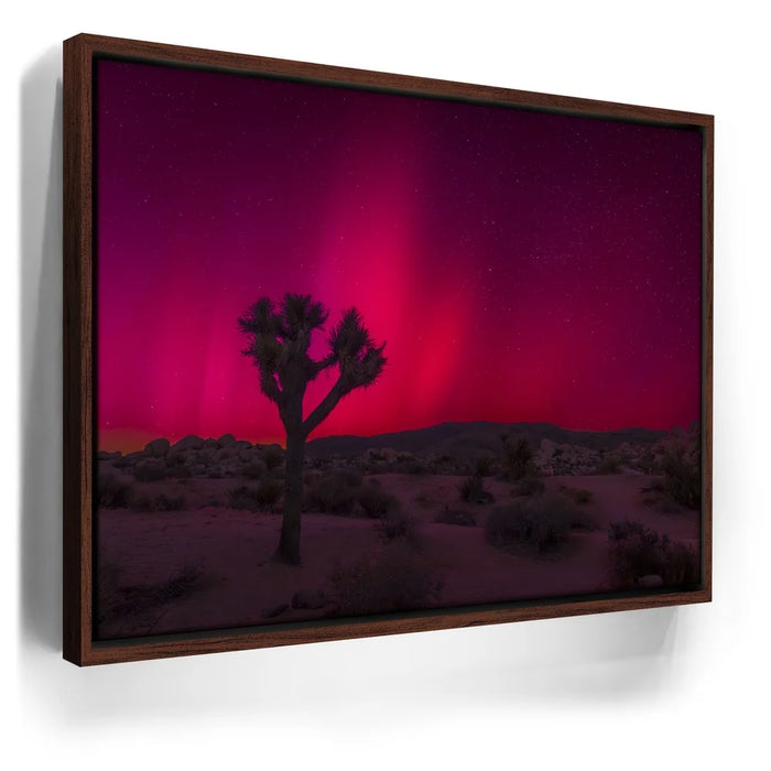 Featured image 11 for Desert Northern Lights