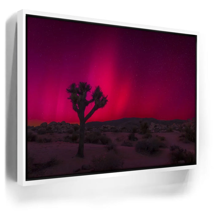 Featured image 7 for Desert Northern Lights