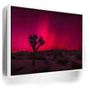 Featured image 6 for Desert Northern Lights