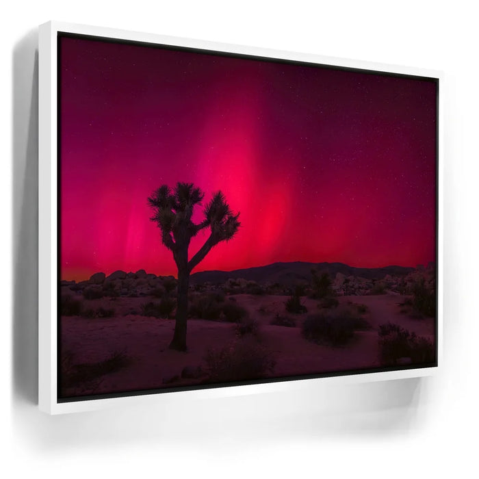 Featured image 6 for Desert Northern Lights