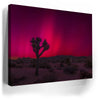 Thumbnail image 5 for Desert Northern Lights