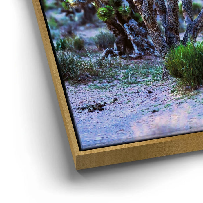 Featured image 12 for Desert Sunset Silhouettes