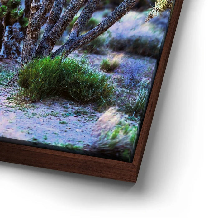 Featured image 14 for Desert Sunset Silhouettes