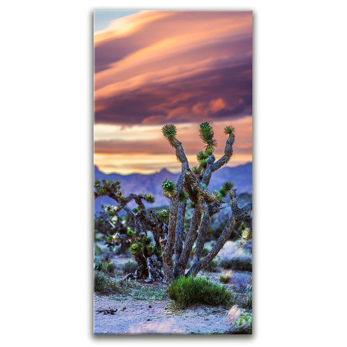 Featured image 1 for Desert Sunset Silhouettes