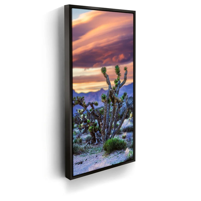 Featured image 5 for Desert Sunset Silhouettes