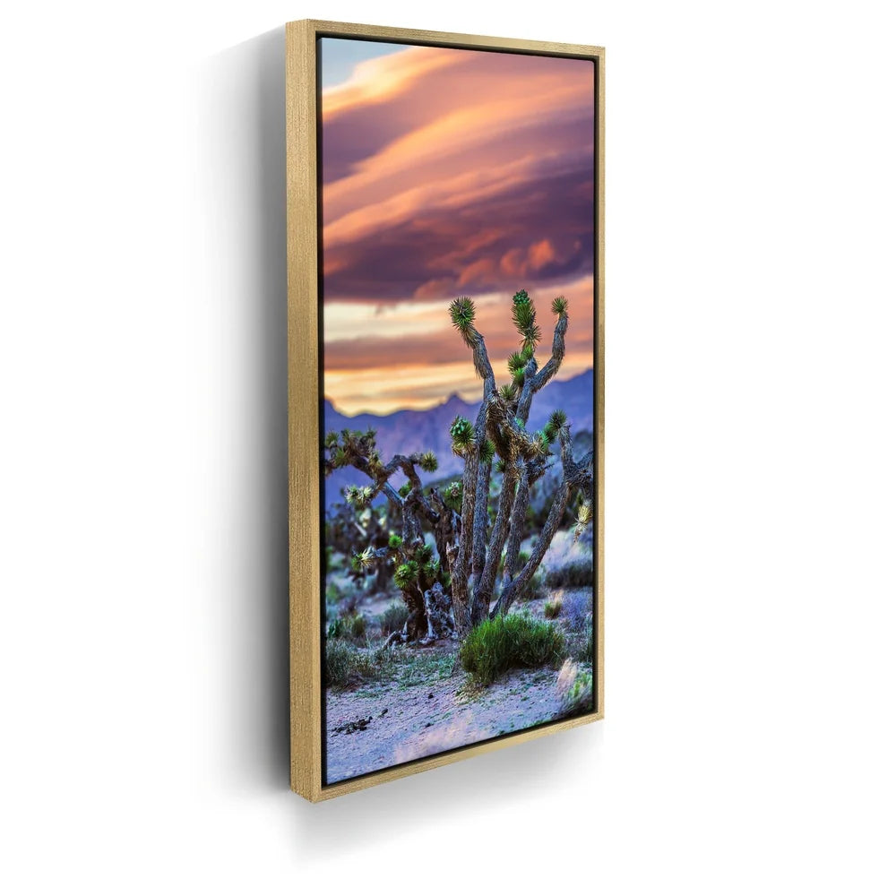 Featured image 7 for Desert Sunset Silhouettes
