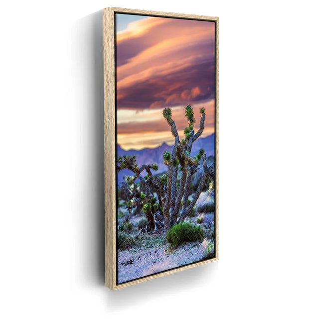 Featured image 9 for Desert Sunset Silhouettes