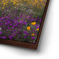 Thumbnail image 14 for Desert Superbloom