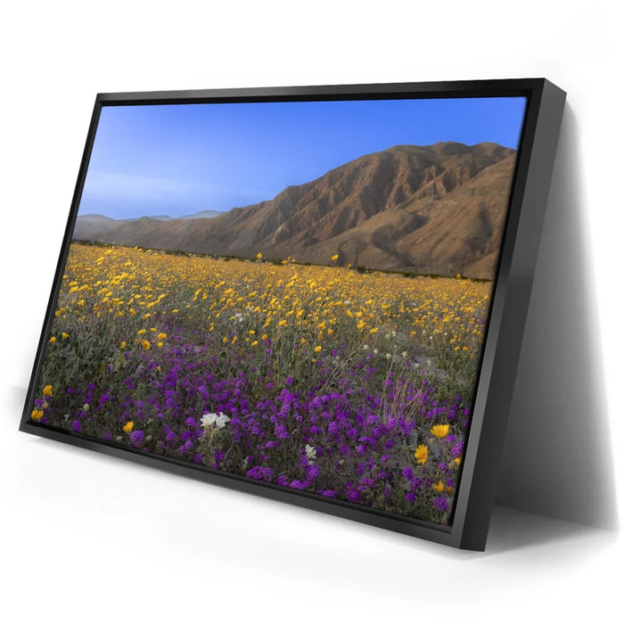 Featured image 2 for Desert Superbloom