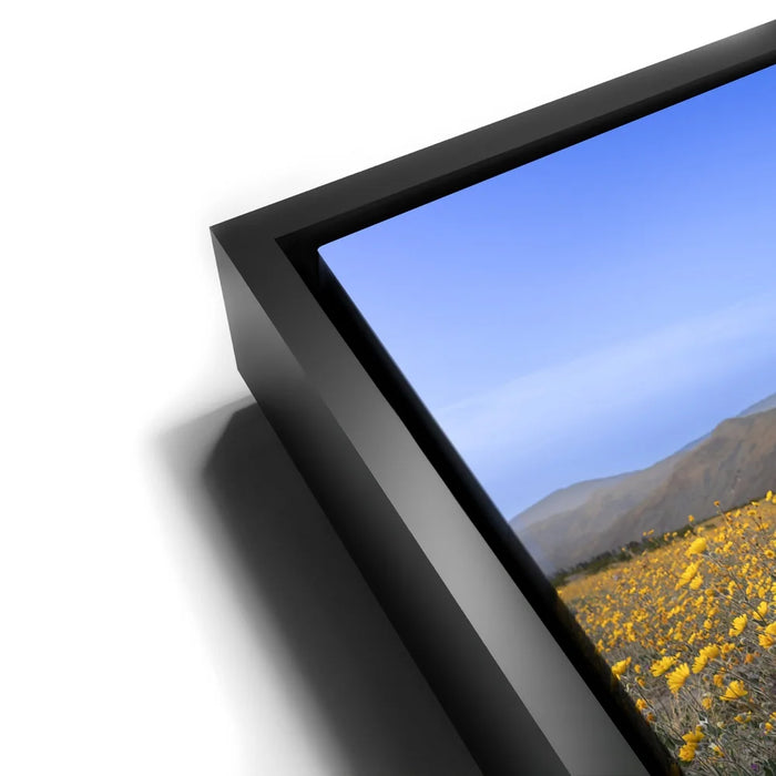 Featured image 12 for Desert Superbloom