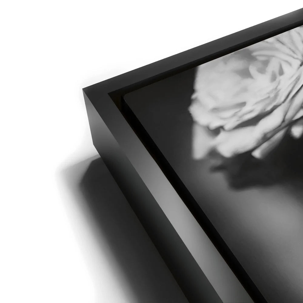 Featured image 11 for Dia De Los Muertos - Black and White II
