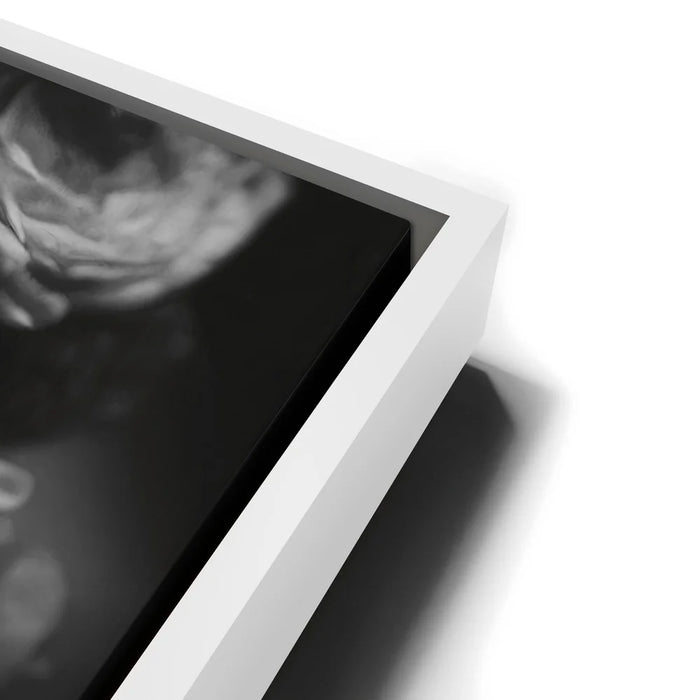 Featured image 13 for Dia De Los Muertos - Black and White II