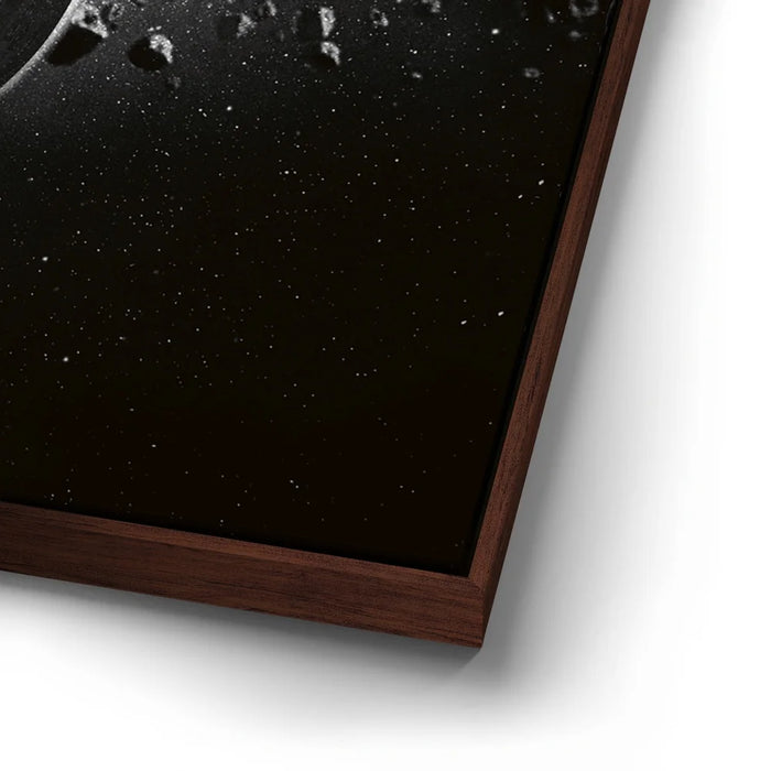 Featured image 14 for Disturbance In The Force - B & W