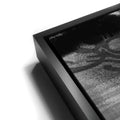 Thumbnail image 12 for Dollar - Black and White - Graffiti