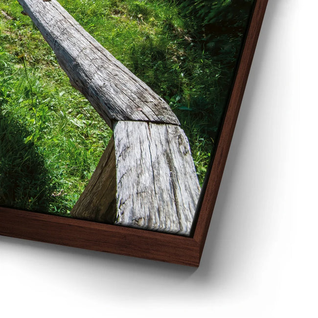 Featured image 15 for Dolomite Trail