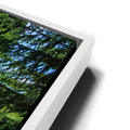 Thumbnail image 14 for Dolomite Trail