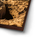 Thumbnail image 14 for Don't Be One