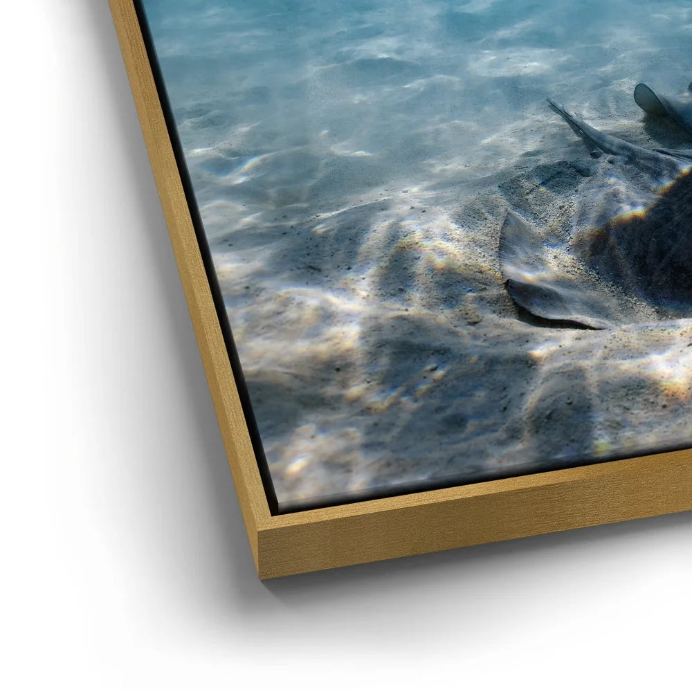 Featured image 12 for Double Stingray - Tahiti