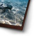 Thumbnail image 14 for Double Stingray - Tahiti