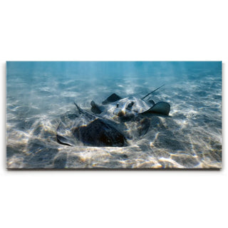 Double Stingray - Tahiti