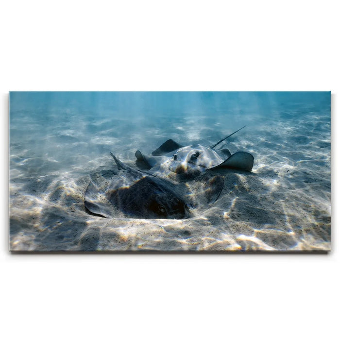 Featured image 1 for Double Stingray - Tahiti