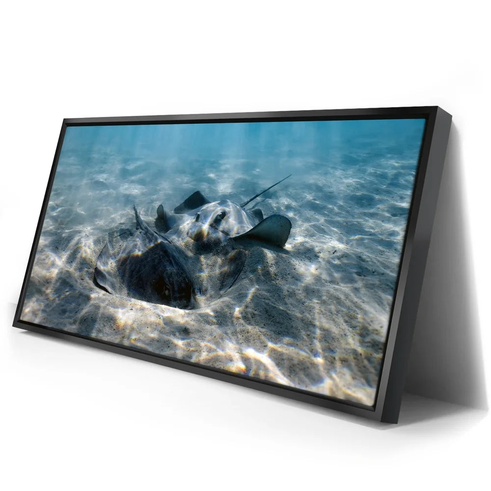 Featured image 2 for Double Stingray - Tahiti