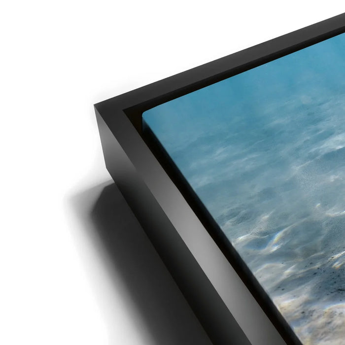 Featured image 11 for Double Stingray - Tahiti