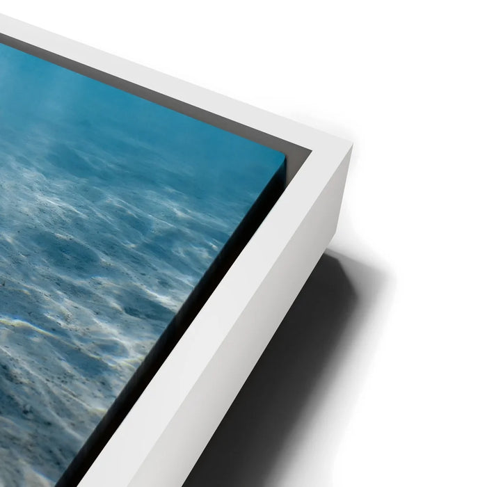 Featured image 13 for Double Stingray - Tahiti