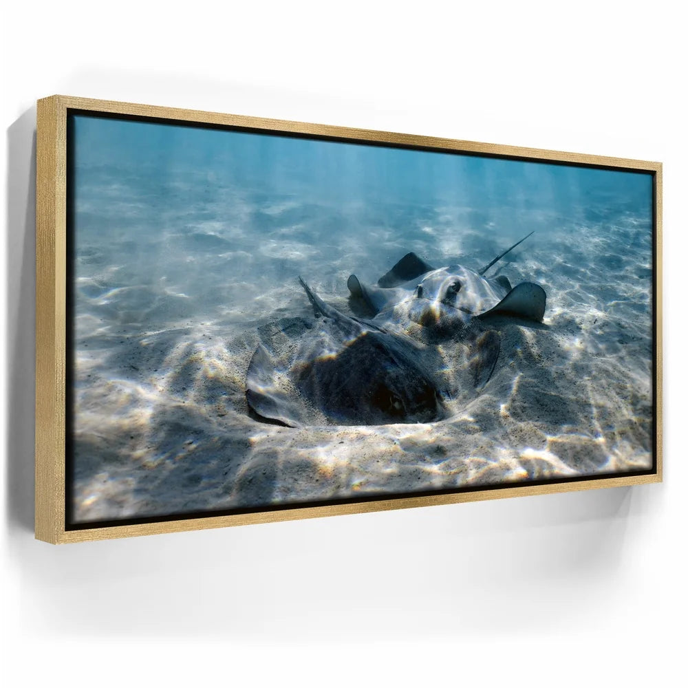 Featured image 7 for Double Stingray - Tahiti