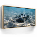 Featured image 9 for Double Stingray - Tahiti