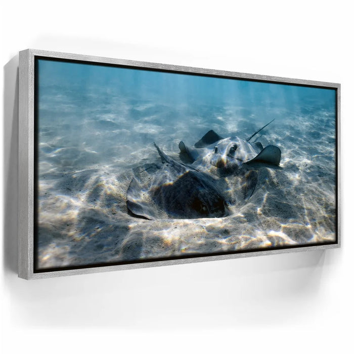 Featured image 8 for Double Stingray - Tahiti