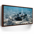 Featured image 10 for Double Stingray - Tahiti