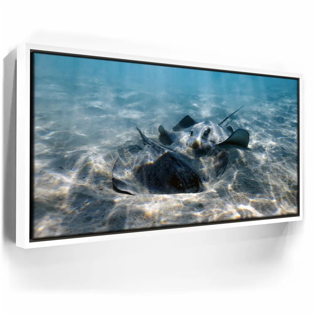 Featured image 6 for Double Stingray - Tahiti