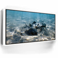 Featured image 6 for Double Stingray - Tahiti