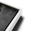 Thumbnail image 13 for Double Up