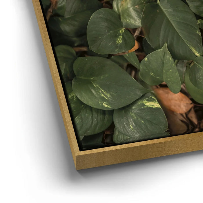 Featured image 12 for Earthy Greens - Maui, Hawaii