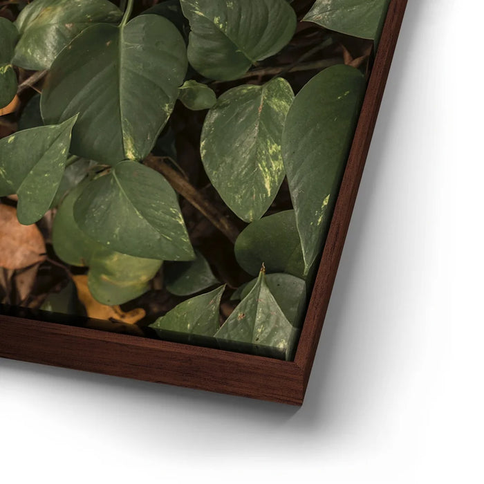 Featured image 15 for Earthy Greens - Maui, Hawaii