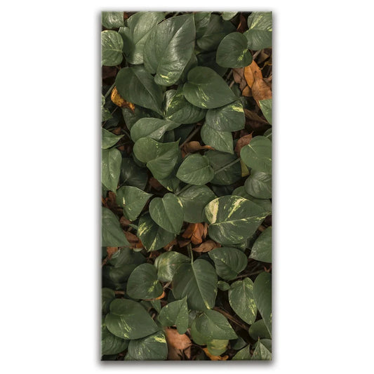 Earthy Greens - Maui, Hawaii Posters, Prints, & Visual Artwork TheGoatWallArt PORTRAIT - TALL 15x30 0.75" STANDARD