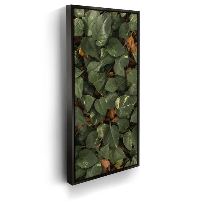 Featured image 5 for Earthy Greens - Maui, Hawaii